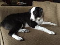 MAV-Groomed_11-2014 (2)